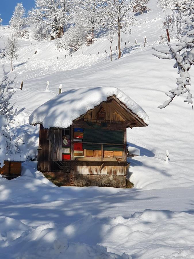 Haus Am Eckle Lägenhet Kleines Wiesental Exteriör bild