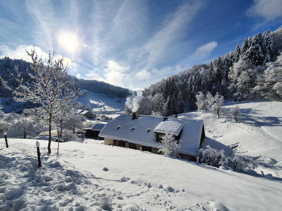 Haus Am Eckle Lägenhet Kleines Wiesental Exteriör bild