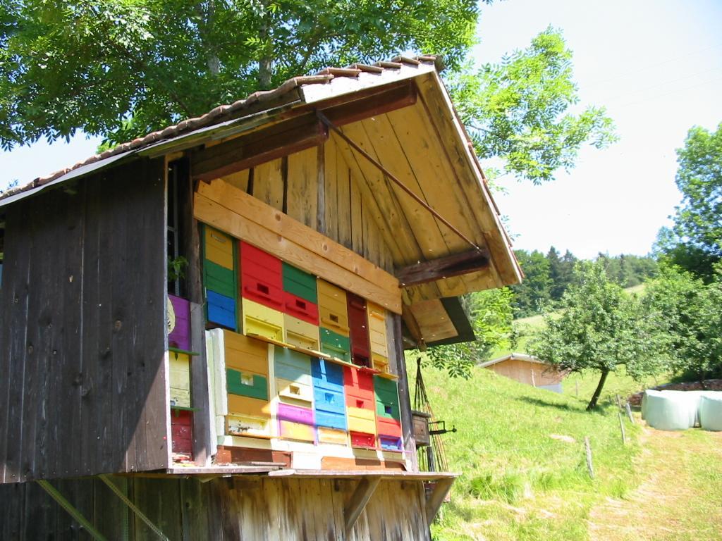 Haus Am Eckle Lägenhet Kleines Wiesental Exteriör bild
